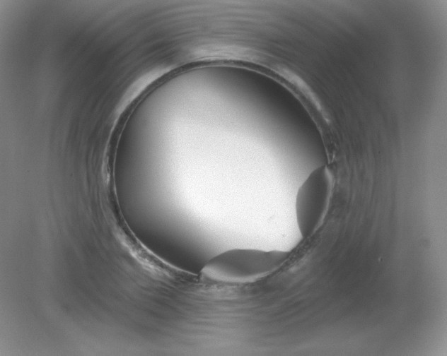 X0000082160885200702021658