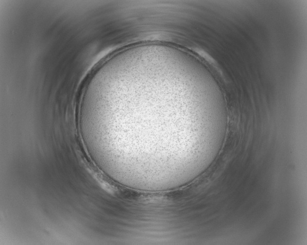 X0000082160886200702021658