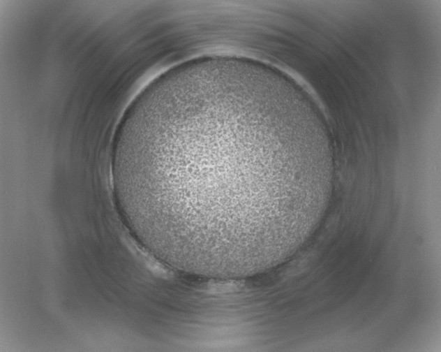 X0000082160887200702021658