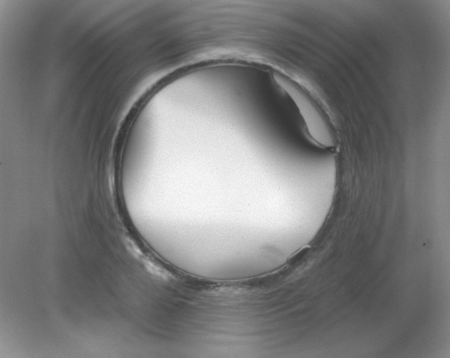 X0000082160888200702021658