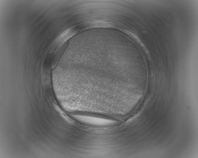 X0000082160889200702021658