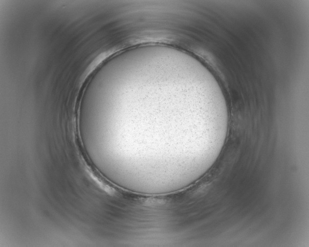 X0000082160890200702021658