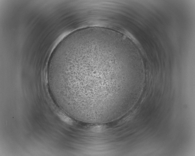 X0000082160891200702021658