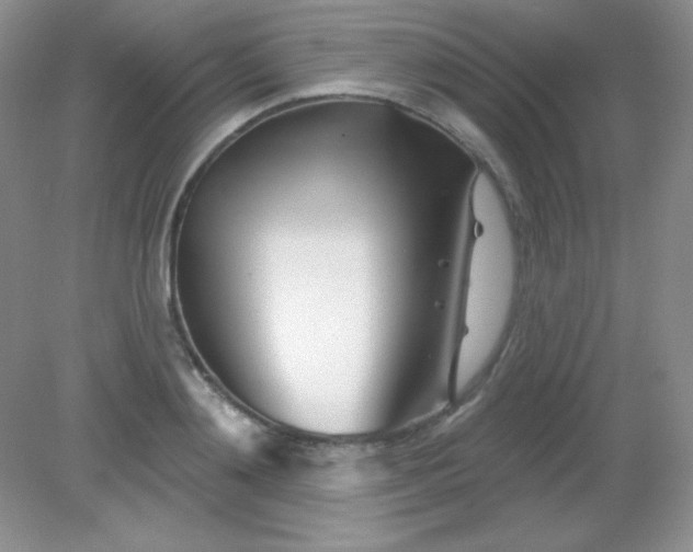 X0000082160892200702021658