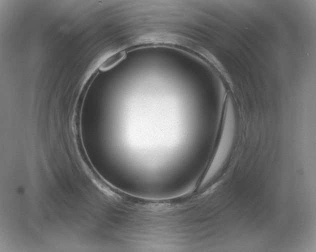 X0000082160893200702021658