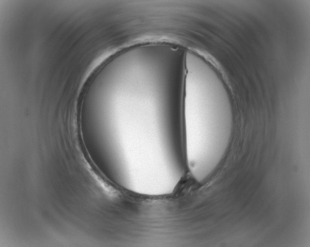 X0000082160894200702021658