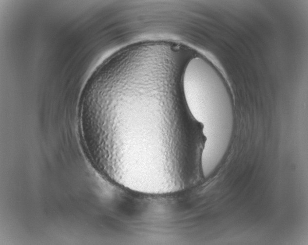 X0000082160895200702021658