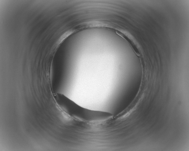 X0000082160897200702021658