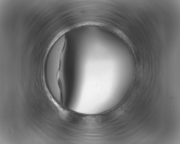 X0000082160898200702021658