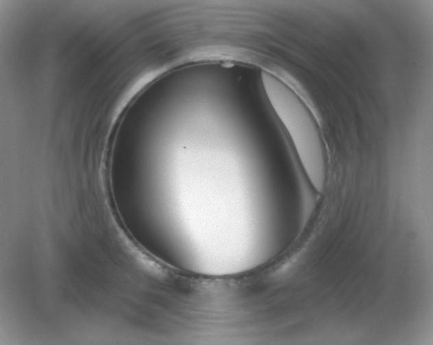 X0000082160901200702021658