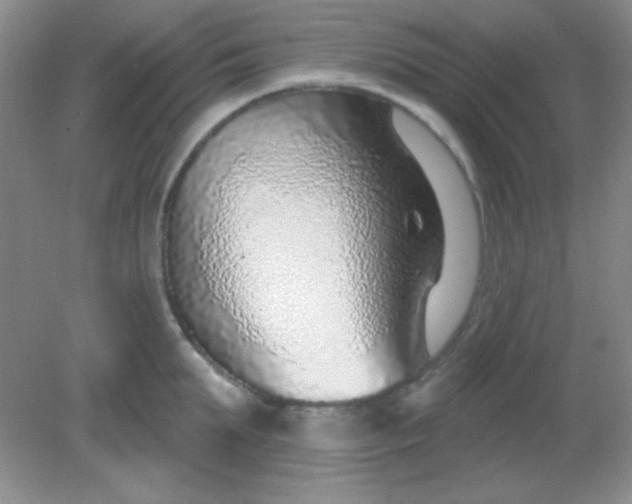 X0000082160903200702021658