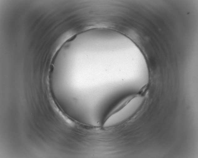 X0000082160906200702021657