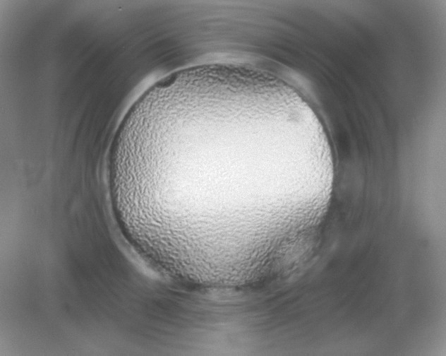 X0000082160907200702021657