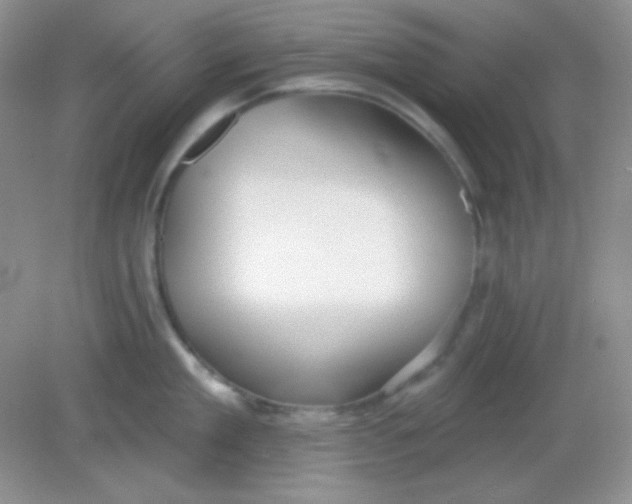 X0000082160909200702021657