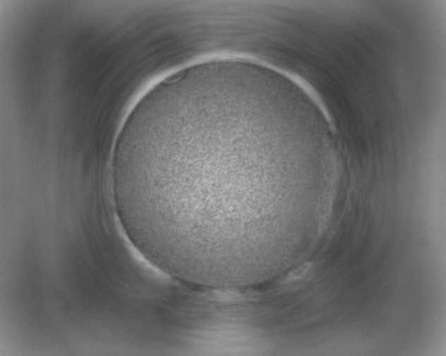 X0000082160911200702021657