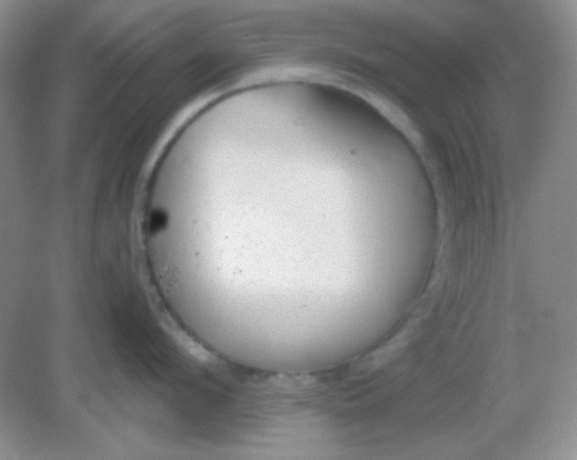 X0000082160912200702021657