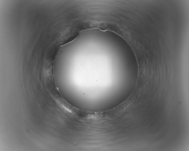 X0000082160914200702021657