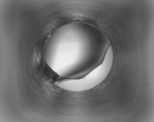 X0000082160916200702021657