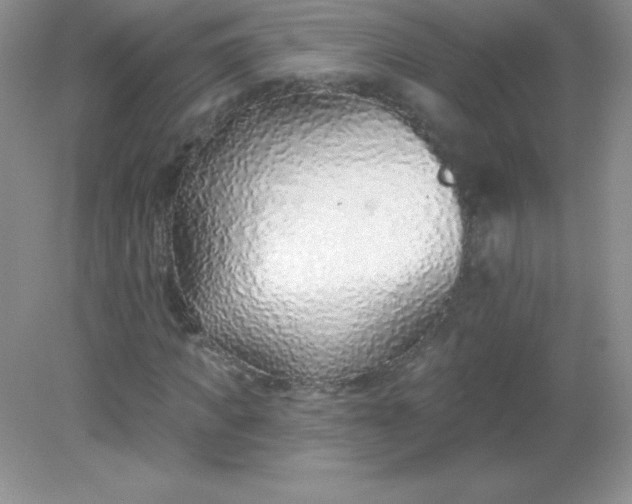 X0000082160917200702021657