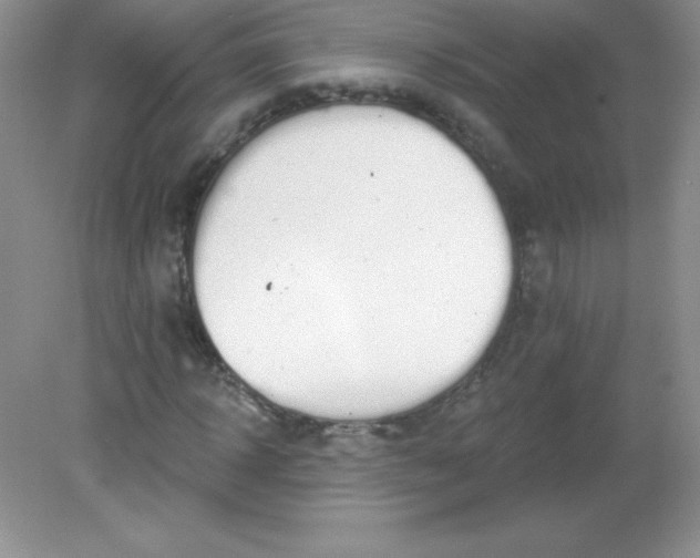 X0000082160918200702021657