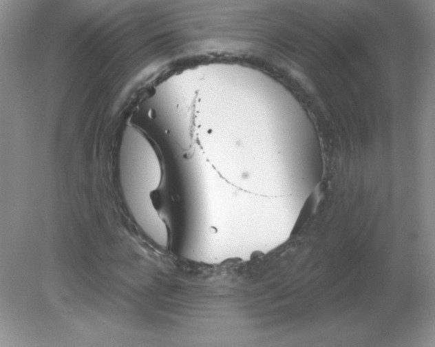 X0000082160920200702021657