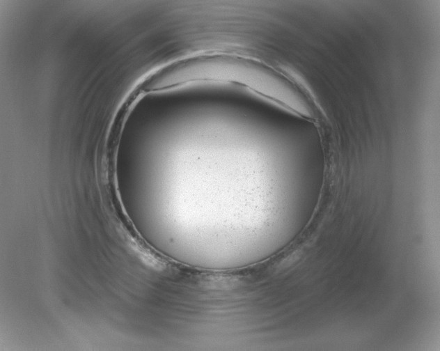 X0000082160924200702021657