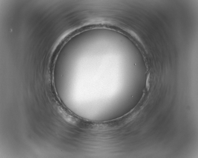 X0000082160927200702021657