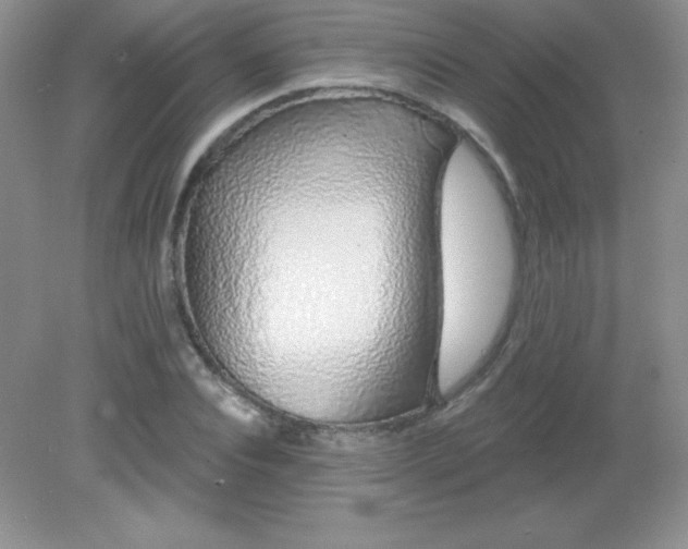 X0000082160928200702021657