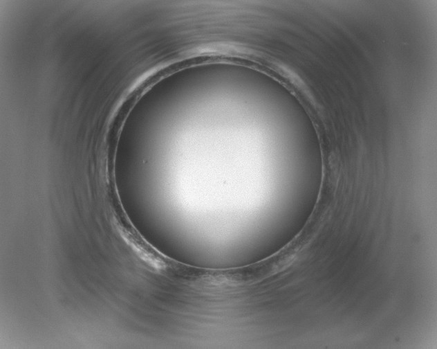 X0000082160931200702021657