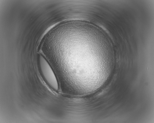 X0000082160933200702021657