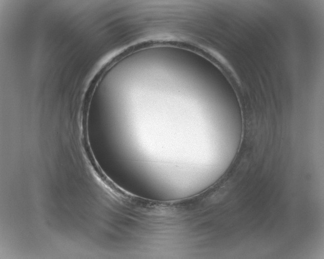 X0000082160935200702021657