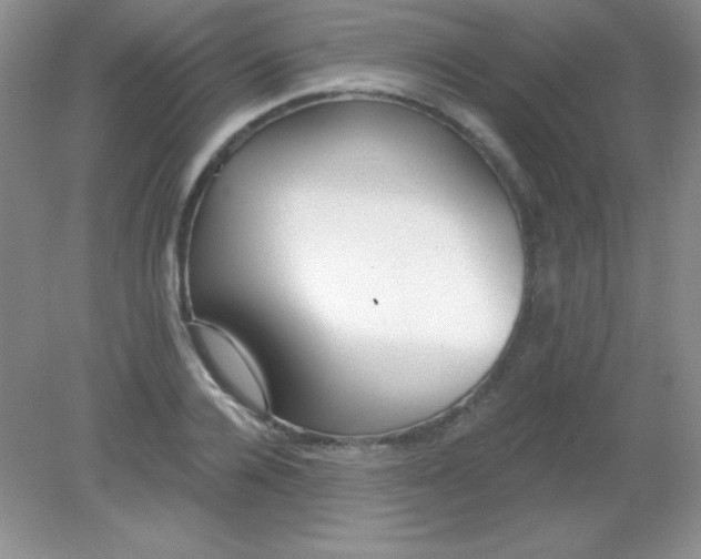 X0000082160936200702021657