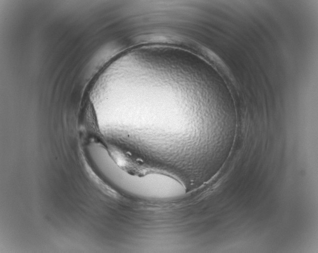 X0000082160938200702021657