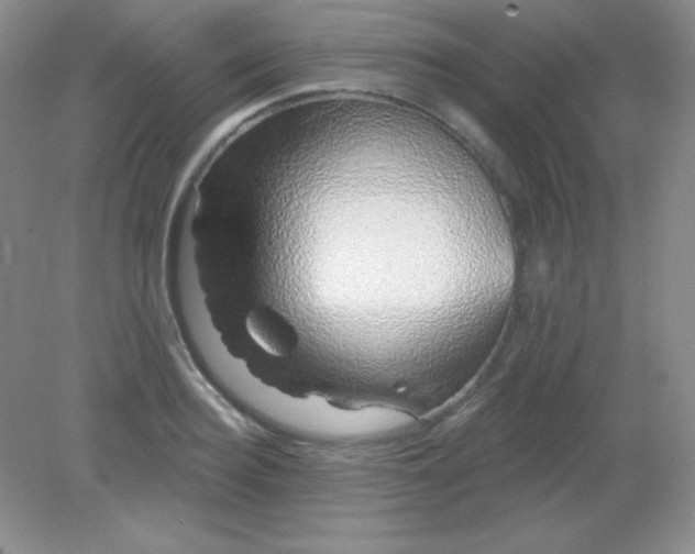 X0000082160940200702021657