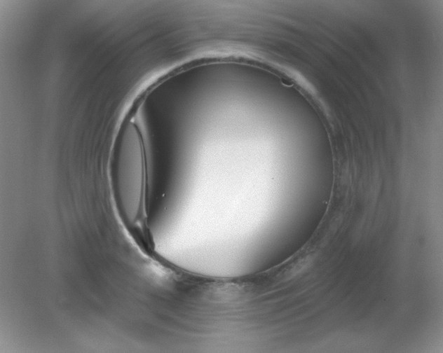 X0000082160943200702021657