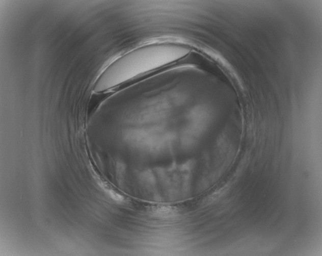 X0000082160945200702021657