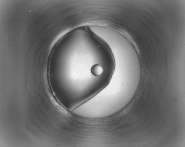 X0000082160952200702021657