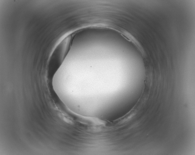 X0000082160956200702021657