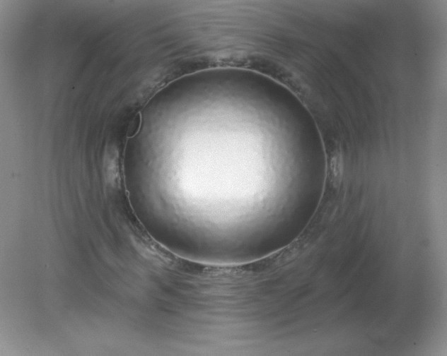 X0000082160963200702021657
