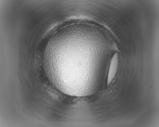 X0000082160967200702021656