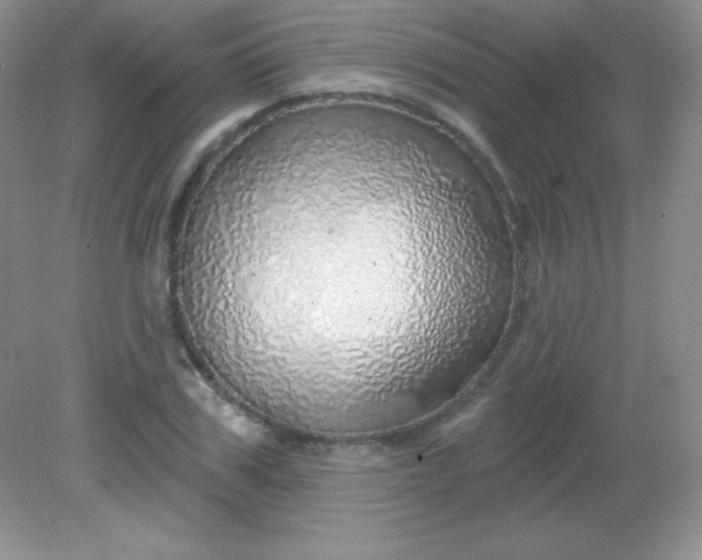 X0000082160979200702021656