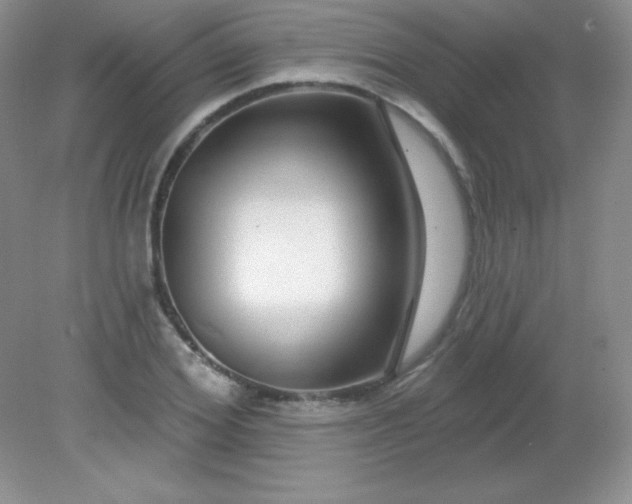 X0000082160980200702021656