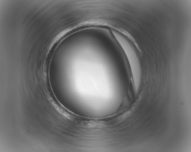 X0000082160981200702021656