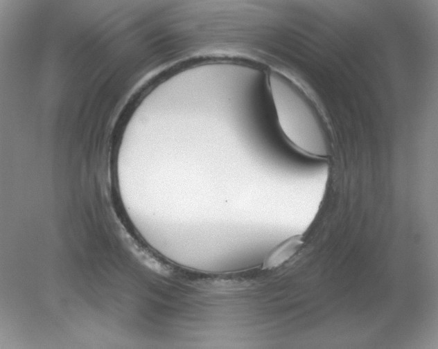 X0000082160984200702021656