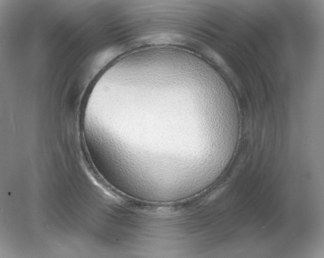 X0000082160986200702021656