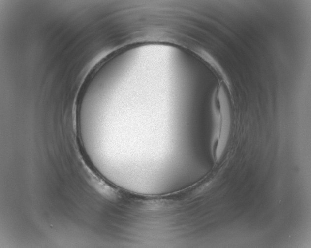 X0000082160988200702021656
