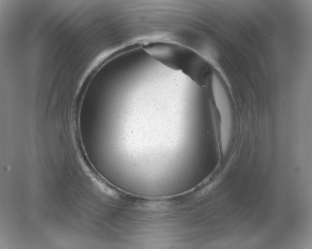 X0000082160989200702021656