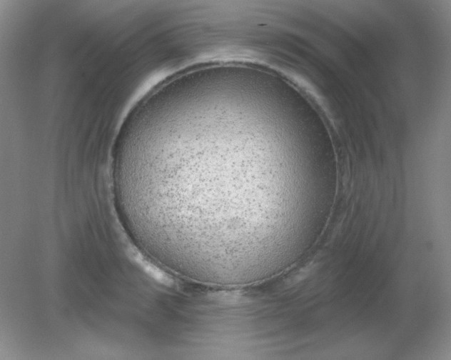 X0000082160990200702021656