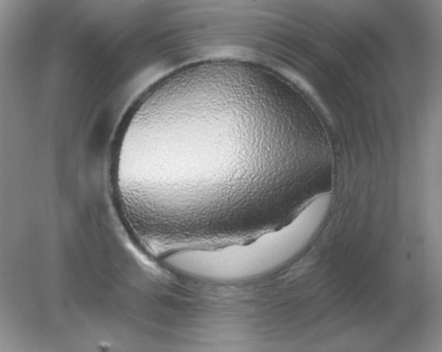 X0000082160991200702021656