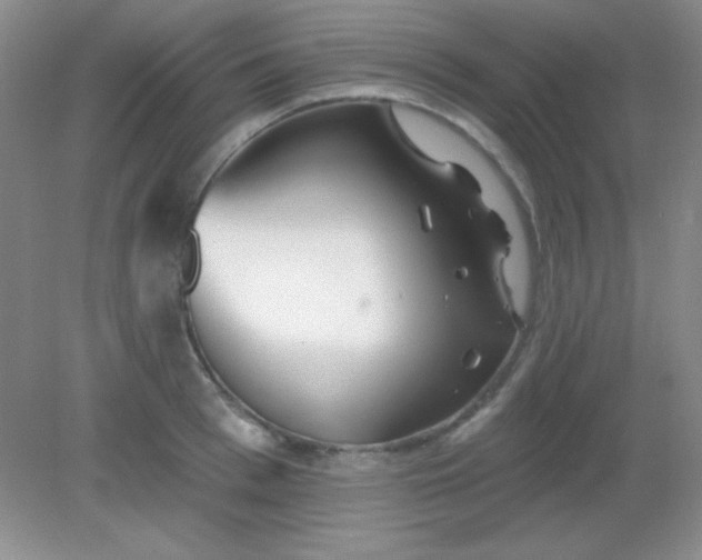 X0000082160993200702021656